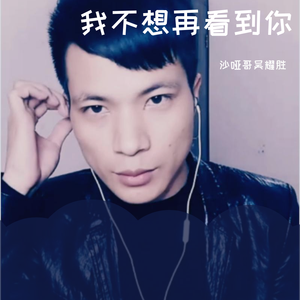 我不再想看到你(摇滚舞曲版)