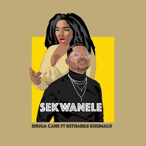 Sekwanele (feat. Rethabile Khumalo)