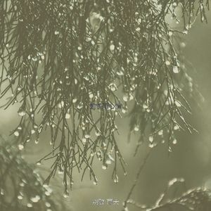 温和雷暴梦想