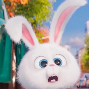 五星红旗迎风飘扬