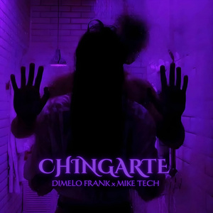 CHINGARTE