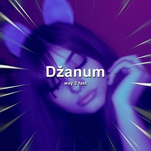 Džanum (Sped Up)