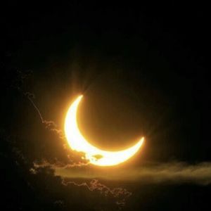 找到你是我最伟大的成功(Live)