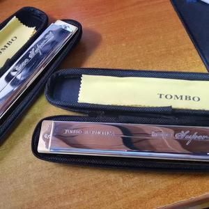 Speak Softly Love柔声倾诉 口琴版