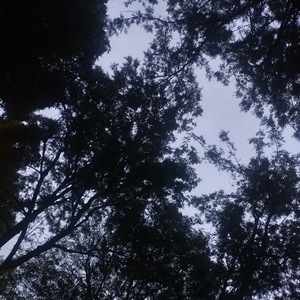 Donde lo haz dejado?