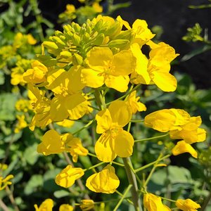 坏天气总会放晴