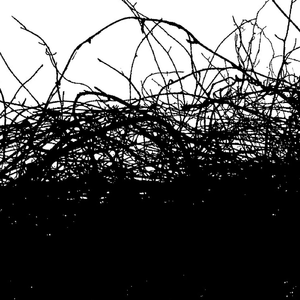 The Cantor Dust (Scanone 3D Mix)