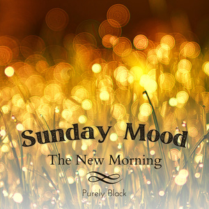 Bright Morning Light