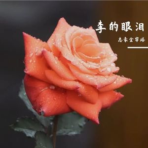 李的眼泪
