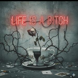 Life is a Bitch (feat. Shamann)