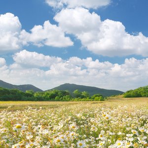落日沉溺于橘色的海