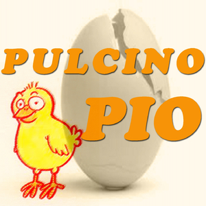 Pulcino pio
