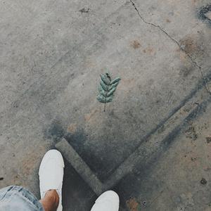 你们啊（翻自 民谣诗人阿黎）