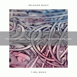 Peaceful Tones Of Tweets For Calm Down And White Noise Therapy