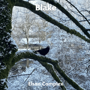Blake