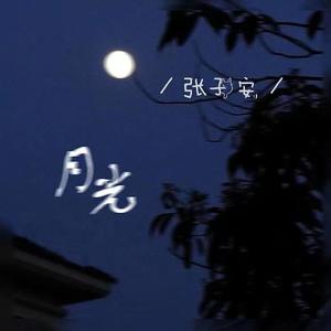 月光伴奏