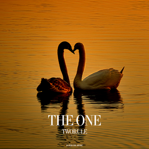 The One (Original Mix)