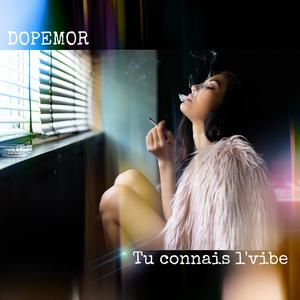 Tu Connais L'Vibe