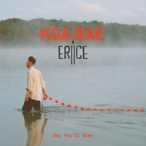 Say You'll Stay (ERIICE Remix)