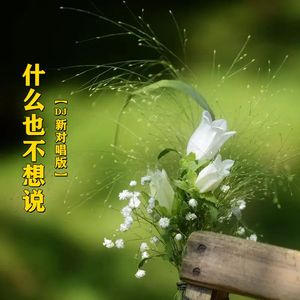 什么也不想说(对唱舞曲版)