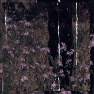 As Long As Its You (feat. ilyANGEL22)