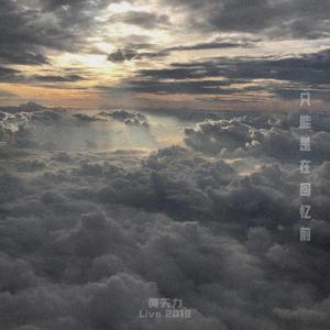 只能是在回忆前（Instrumental）