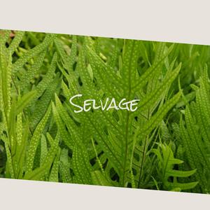 Selvage