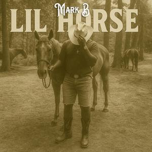 LiL Horse