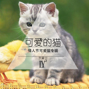 可爱的猫（伴奏）