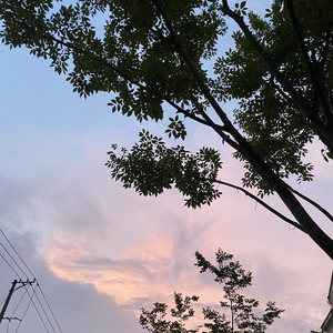 杂感（Prod.Siren）