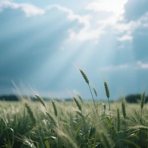 归心似箭随流水