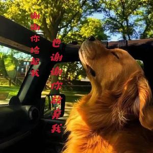 曾经爱过就足够 伴奏