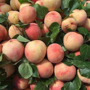 乔 MIX (Prod by WayMen)