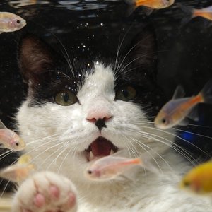 心被刺痛的瞬间