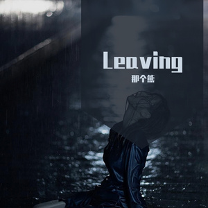 Leaving（纯音乐）