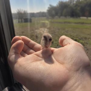 nothing like sunshine