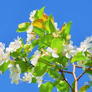 海边漫步（纯音乐）