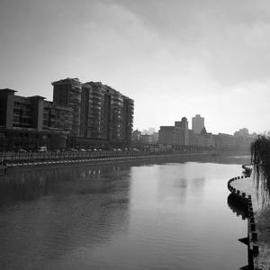 在潮湿发霉的雨季里
