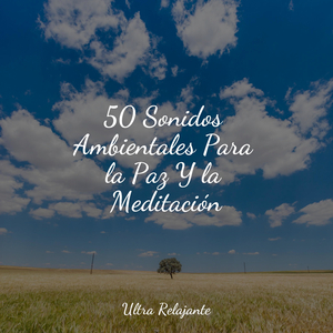 Evolución Armoniosa