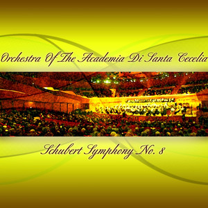 Symphony No. 8 in B Minor, D. 759: I. Allegro moderato