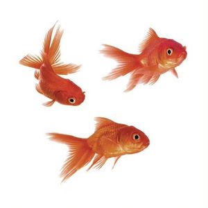 写给十年前的自己