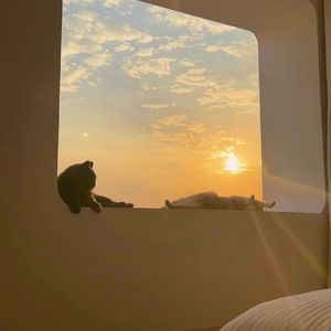 我无法做到的是 为你写最后一首歌