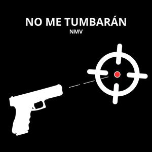 NO ME TUMBARÁN