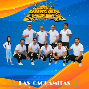 Las Caguamitas