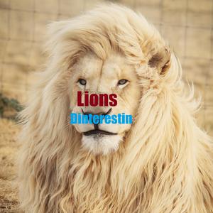 Lions