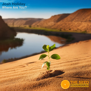 Where are You (Ross Mt. Park remix)