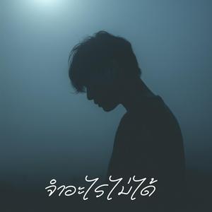 จำอะไรไม่ได้