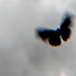 Phulphakru (feat. JAZZY NANU)