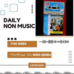 ተኸለሚካኤል ገብሩ wedi gebru