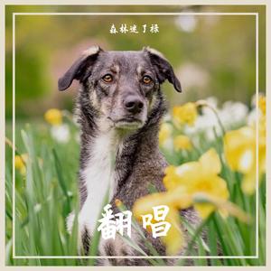 《忘了你 忘了我》